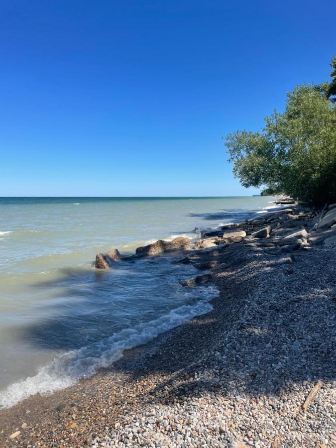 The Charming Glenn Cottage! Walk To Lake Michigan! Fennville Ngoại thất bức ảnh